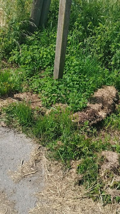 Chemin vert Lourdes-Tarbes