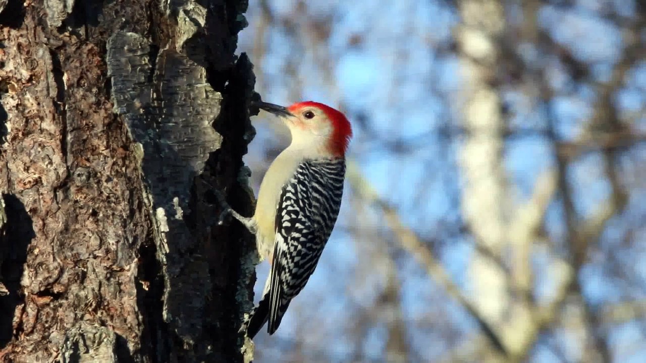 test_source copy 3