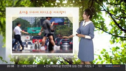 [날씨] 내일 남쪽 덥고 동쪽 선선…강원 영서·영남 소나기