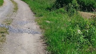 Chemin vert Lourdes-Tarbes