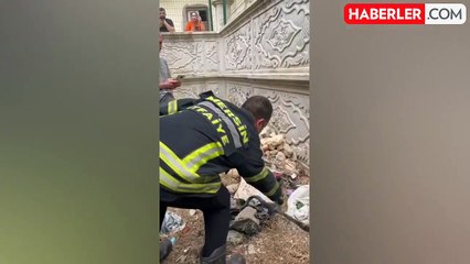 Site Sakinlerini Korkutan Yılan, Doğal Yaşamına Kavuştu