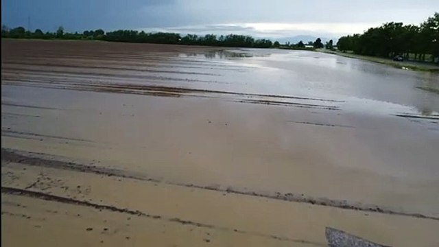 Maltempo nel Bresciano, i campi agricoli diventano paludi