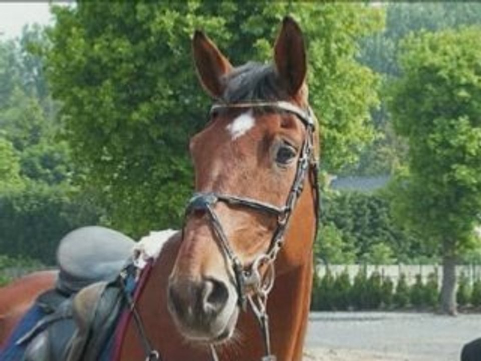 Boy1ans_0001