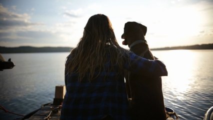 Advice for travelling with your pets this summer