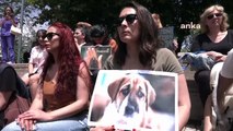 AKP’nin sokak köpeklerinin uyutulmasını öngören yasa teklifi TBMM önünde protesto edildi