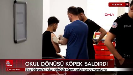 Aksaray'da lise öğrencisi, okul dönüşü köpek saldırısında yaralandı