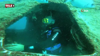 Kuşadası Körfezi'ndeki uçak batığı dalgıçların ilgi odağı oldu! Pilot koltuğuna oturup poz verdiler