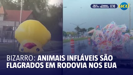 Pato e elefante infláveis são flagrados em estrada