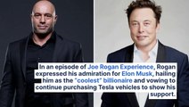 Joe Rogan Says Elon Musk Is His Favorite Billionaire: 