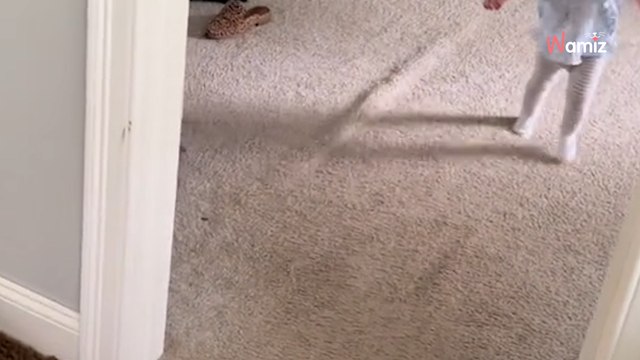 Une petite fille joue avec son chien : la crise de rire de l'enfant fait fondre le coeur de tous les internautes ! (vidéo)