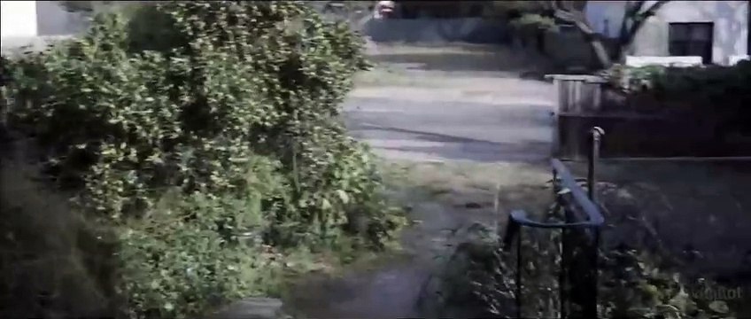 Der Babadook - Trailer zum Horrorfilm über ein Kinderbuchmonster