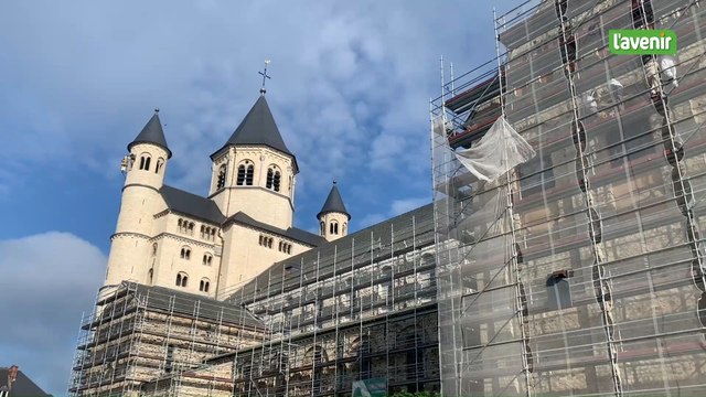 Nivelles: récupération d'un essaim d'abeilles à la collégiale