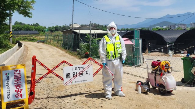 창녕 오리농장에서 조류인플루엔자 항원 검출 / YTN