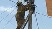 Firefighter Rescues Kitten Stranded on Power line