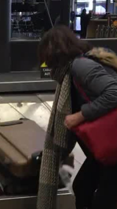 Transavia, Ryanair, Easyjet... combien vous sont facturés vos bagages cabine à bord ?