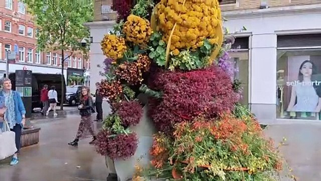 Tour of the grand floral displays in the 2024 Chelsea in Bloom show