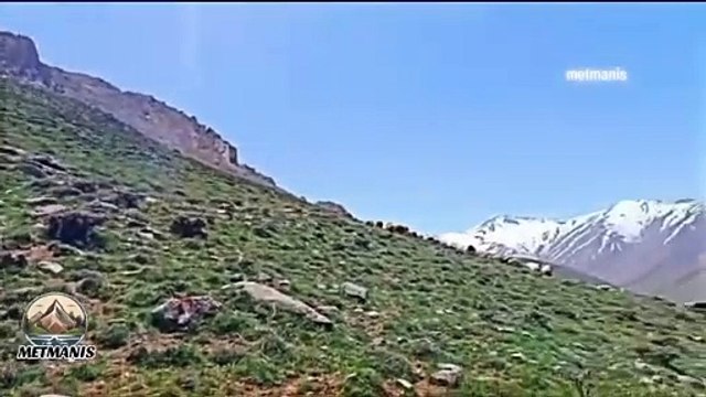 ARTOS dağı ve VAN GÖLÜ