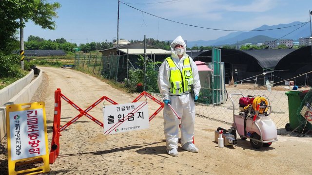 창녕 오리농장에서 고병원성 조류인플루엔자 확진 / YTN