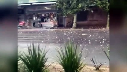 People are running away in panic from huge rocks from the sky! Huge hail in Uruguay