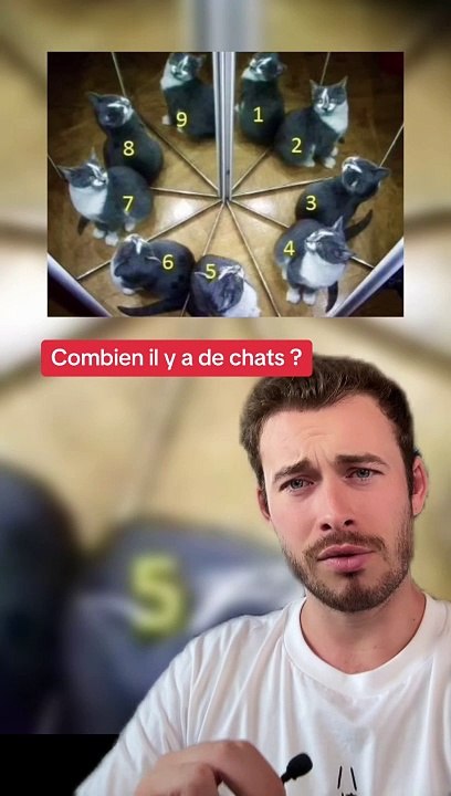 Combien de chats ? (Exclu Dailymotion)