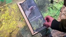 Une scénographie immersive à la Maison de la Réserve Naturelle des Gorges de la Loire