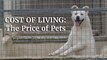 Cost of Living: The Price of Pets