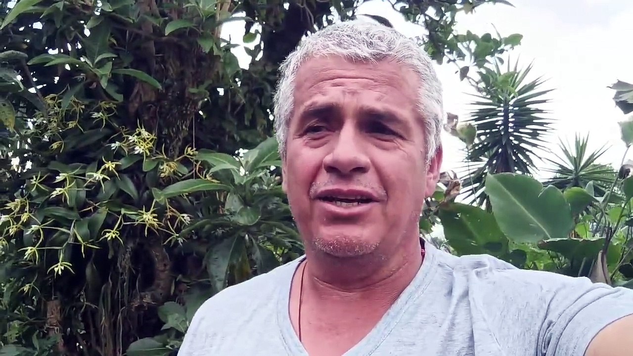 Wagner Rojas | Escalador