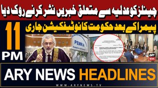 ARY News 11 PM Headlines 23rd May 2024 | After PEMRA, Government Notification issued