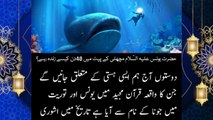 Hazrat Yunus A.S Story in Urdu _ Hazrat Yunus Aur Machli _ Islamic Waqiat _ Mian Awais Official