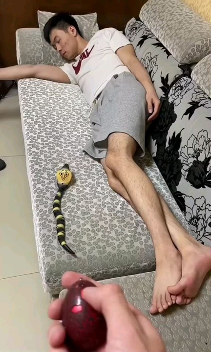 funny  snake prank