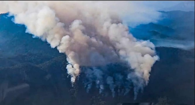Incendio forestal ha afectado 10 hectáreas en Santiago, NL
