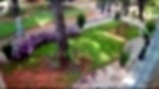 Vídeo mostra assalto em quadra da Asa Sul