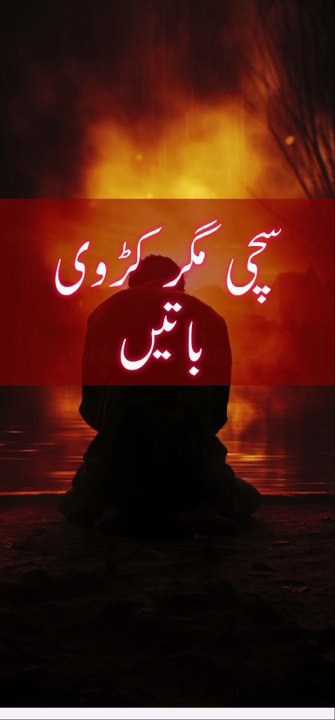 WhatsApp status
