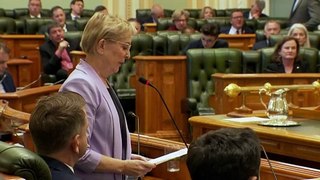 MP Ros Bates referred to ethics committee after accusing Health Minister Shannon Fentiman of inciting violence against during row in state parliament