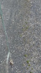 Porte-clés improvisé, David et Goliath