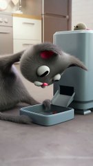 Thank you for 1 MILLION GIMME SNACK #cat #animation