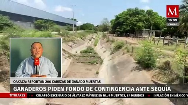 Ganaderos piden apoyos ante sequías extremas en Oaxaca