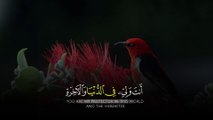 Quran Al Kareem قرآن الكريم