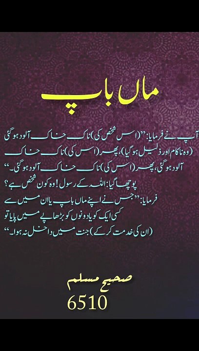 Respect parents❤❤❤