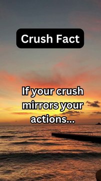 Crush Fact | Unveiling the Mystery: Fascinating Facts About Crushes | Creative Comedy And Facts.