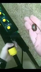 Exploring the Blue Frontier: The Untamed Oceans