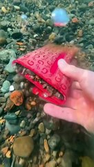 The Depths Unseen: Diving into Ocean Mysteries