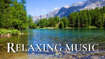 Relaxing Piano Music with Bird sounds, Music for Stress Relief, Meditation, Relaxation, Study, Sleep
