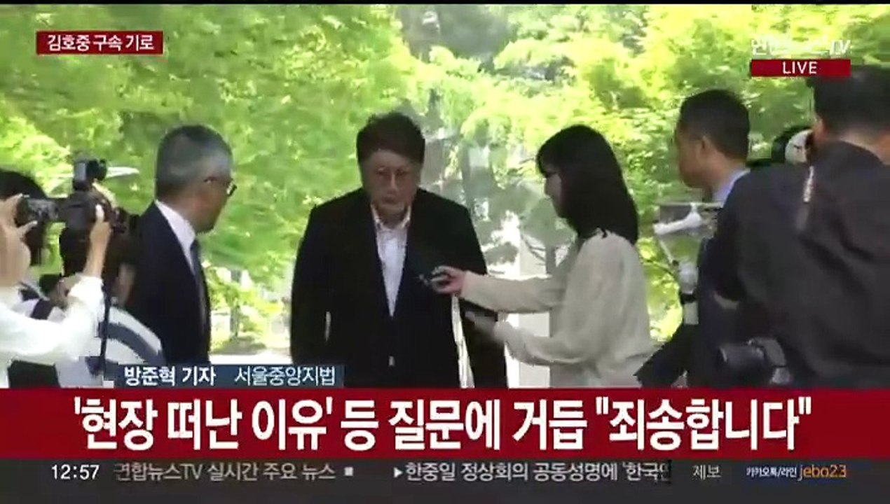 '음주 뺑소니' 김호중 구속 심사…"심문 잘 받겠다"