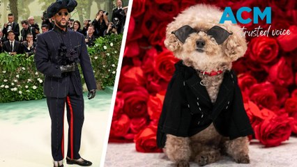Who wore it best? Dogs step out in style for the 2024 Pet Gala