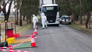 Avian flu spreads to second poultry farm in Victoria