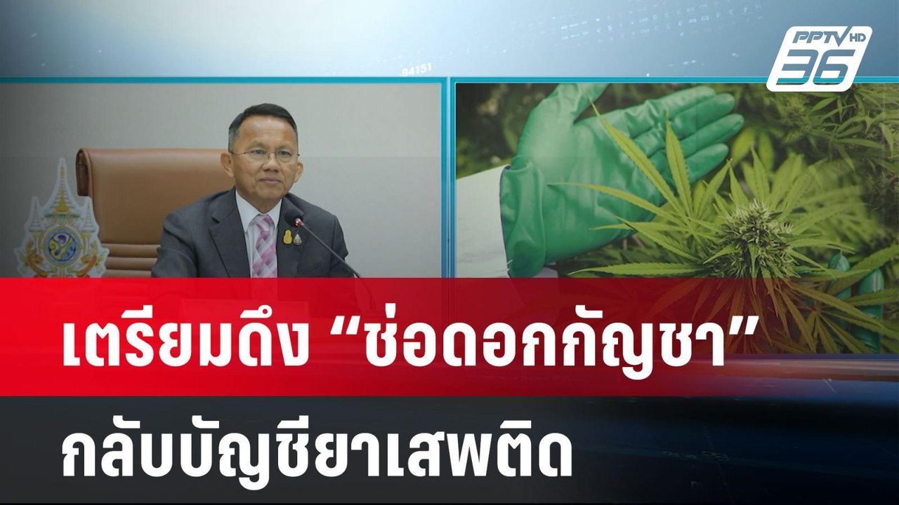 สมศักดิ์ เตรียมดึงช่อดอกกัญชากลับบัญชียาเสพติด...