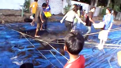 Jambo 45 Yacumama Juego de Barro