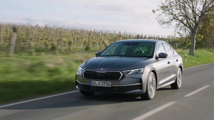 Watch the New Skoda Octavia in Stunning Grey 🚗