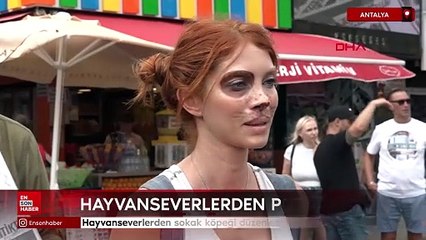 Antalya'da hayvanseverlerden sokak köpeği düzenlemesine karşı protesto